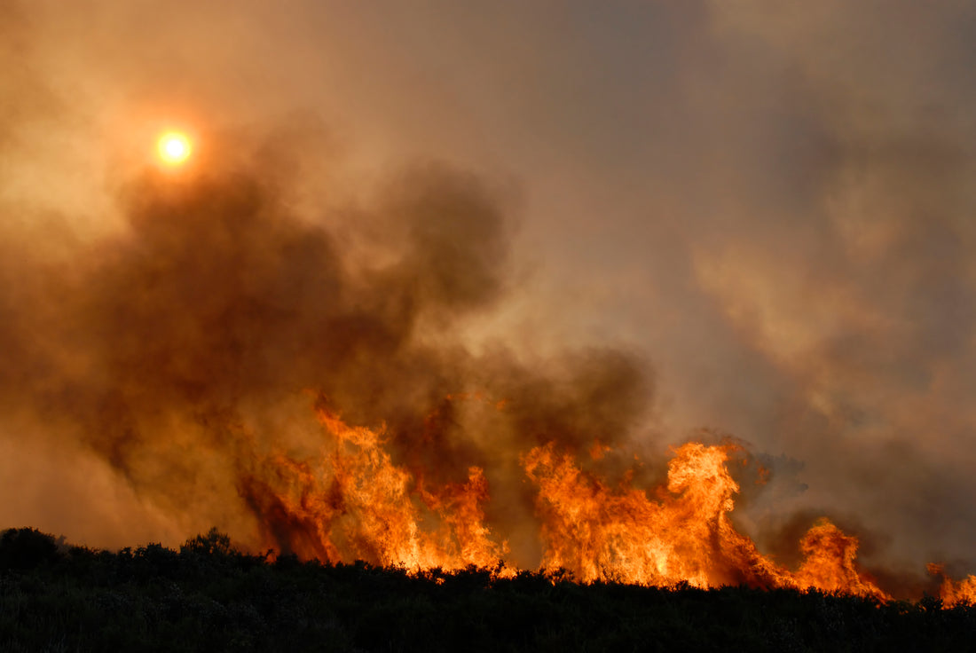 Wildfire smoke and air quality